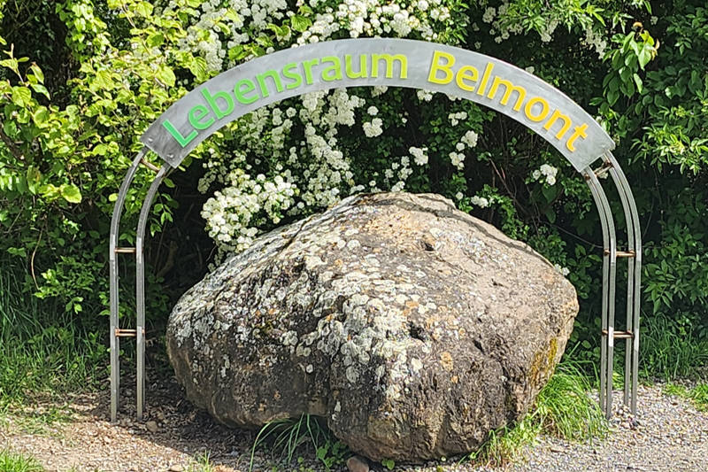 lebensraumbelmont_32